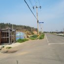 춘정농장 Daum카페