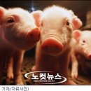 (주)효자개발