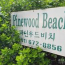 파인우드비치 이미지