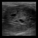 부천종합동물병원 이미지