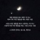 오빠돼지 이미지