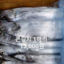 [9월 13일] 큰갈치, 꽃돔, 고등어, 동태포, 반건조 생선~ 이미지