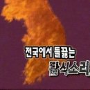 돼지게티 이미지