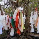 월평다라쿳당 이미지