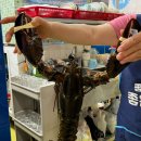 바다소식 | 해운대포차 바다마을 이전소식 오륙도19호 후기