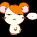 건강하고 긴 삶 이미지