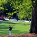 동경골프연습장 이미지