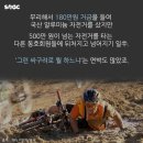 싸구려 이미지