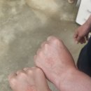 둥지파크 | 필리핀 세부 택시투어 후기 (시라오가든+탑스힐+레아신전+파크몰)