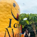 선기농장 | 애월 맛집 제주황제망고 내돈내산 솔직후기