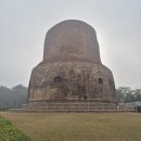 장독옛날손짜장 이미지