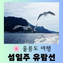 이섬주유소 | [울릉도 여행] 울릉도 바다가 파노라마처럼 펼쳐지는 "울릉도 섬일주 유람선" 힐링 되는 승선 후기