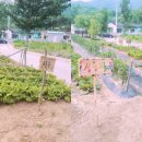 아침해지역아동센터 네이버블로그
