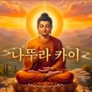 해동카셀프 | 임신 19~20주 증상과 일상 공유, 19주차 태동, 임신중기 증상