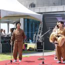 멸치후리는노래 이미지