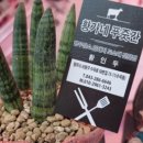 황가네정육점 이미지