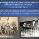 성실 태권도 이미지