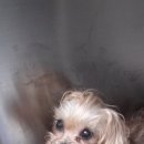 건국동물병원 이미지