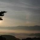 새벽농장 이미지