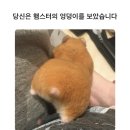 제로 콤플렉스