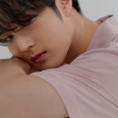 김중연 카카오 검색결과