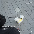(주)체인지랩 | 임신일기) 임신 38주차 일상 : 25.05.06(화)~12(월)