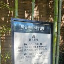 투비에이드 | 수지 대형카페 타임투비: 용인 브런치 맛집에서 힐링하기