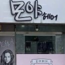 모야 헤어