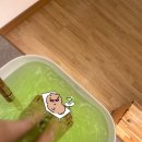 평택스타타워 | 평택마사지 소사벌 데일리테라피 피로회복에 좋은 통증관리 재방문 후기