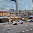 센텀SH밸리점 빽다방 이미지