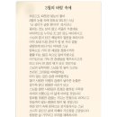 김교유 Daum카페