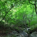 청태산자연휴양림 이미지