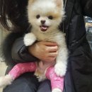 기운내 동물병원 이미지