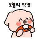 바디쉐프 이미지
