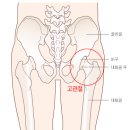체력관리와 건강 | [세무사시험] 7. 건강 관리: 체력 관리, 마음 관리