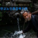 판교노인종합복지관 | 경기도 노인복지센터 실버타운 요양원 정보 추천 판교노인종합복지관 편리한 교통과 전문 복지 제공