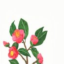 흥덕구청 이미지