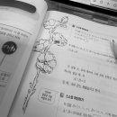조윤지수학