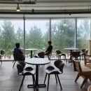 바다정원 이미지