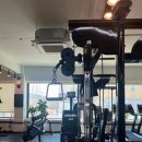 웰니스피티스튜디오 이미지