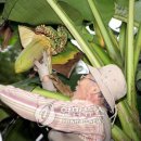 감산2리 이미지