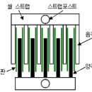 장수자동차정비 네이버블로그
