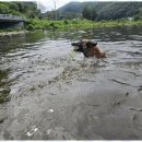 굿데이호텔 이미지