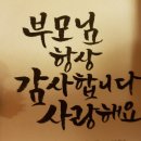 아카데미국가대표태권도장 이미지