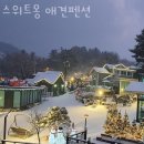스위트몽 | 남양주펜션 스위트몽 애견펜션 업체 정보 후기