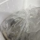 청년농수산 | 맛청년농수산 알쭈꾸미 내돈내산 구매 후기