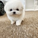 지금 이미지