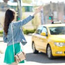 타요타요 펫택시 이미지