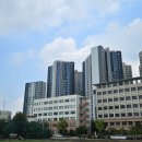 올레부동산공인중개사사무소 이미지
