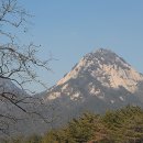 봉암사 - 1772 | 봉암사
